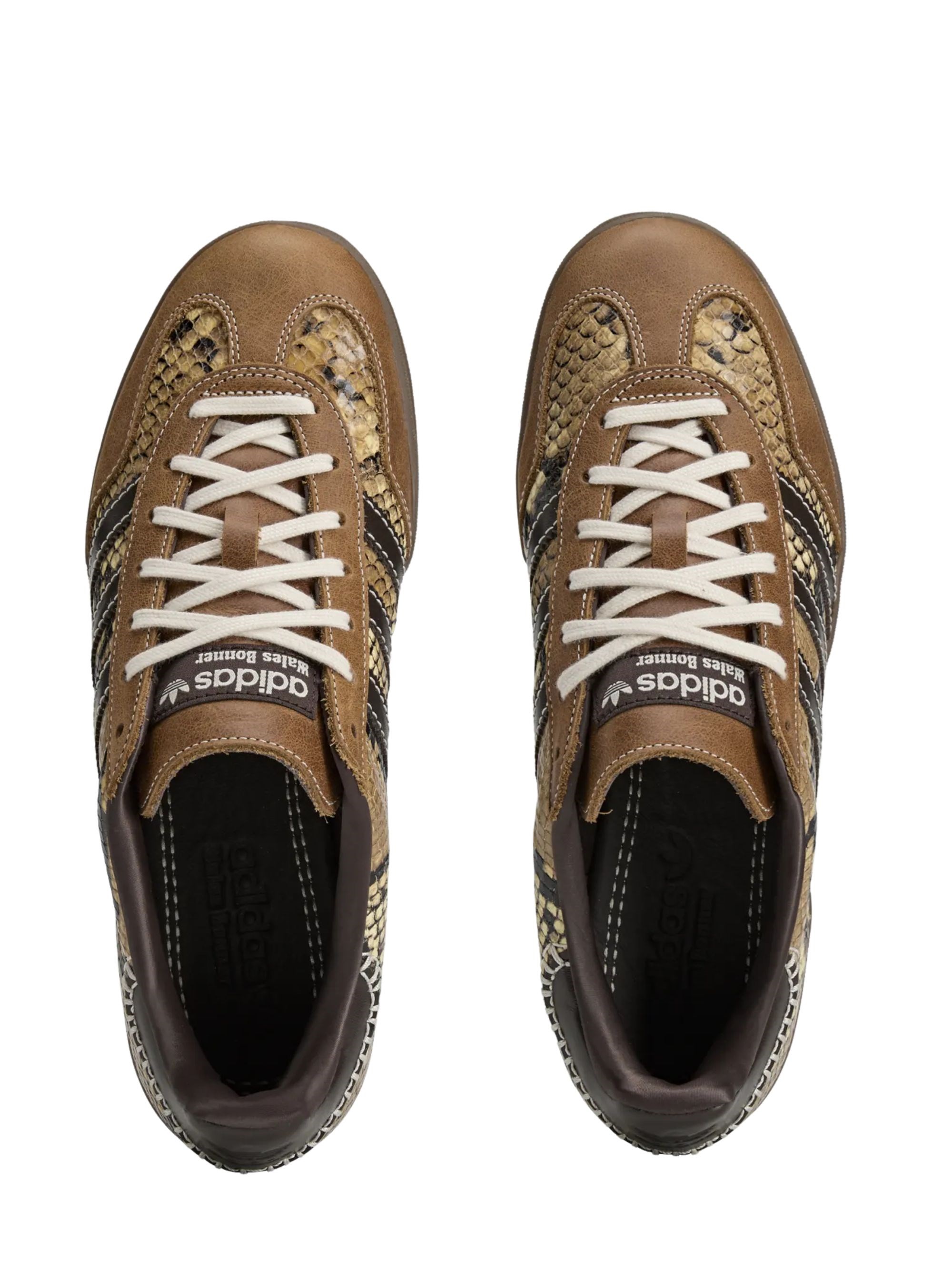 Adidas by wales bonner Gazelle snake sneaker available on Tessabit